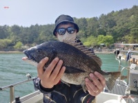 해적 흘림 감성돔 입니다 (49이하 4짜들과 일당들)