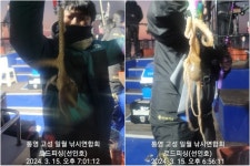 (로드변여사)낙지15일,21,20,14 와글와글 하네요~