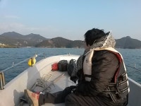 통영 풍화리에서 청어와의 만남