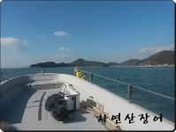 통영 풍화리에서 한시간 짬낚조황