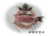 통영 풍화리에서 한시간 짬낚조황