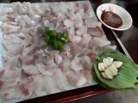 거제 다대 벵에돔