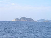 대삼부도