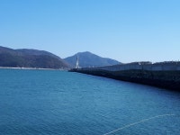 연도