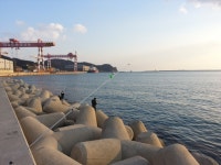 휴일 오후 두송방파제입니다.