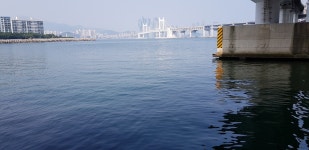 광안대교밑 ㅋ