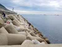 영도 반도보라 & 하리방파제