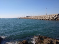 장항방파제 맞져편 갯바위 도보!