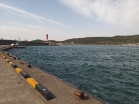 대변 내항 실시간 상황