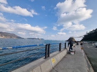 24년 2월 7일 송도 암남공원