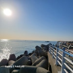 기장 침암방파제!