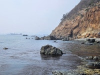 태종대