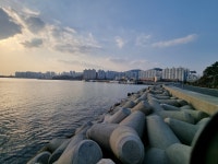 1월 18일 수요일 두송방파제