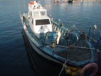 부산 기장일광에서낚시배 하실분