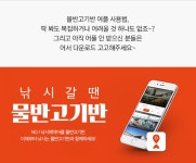 [물반고기반] 국내 최초 바다/민물 통합 No1. 낚시어플 출시