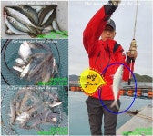 【바사남노아호】부부조사님의 손맛은 즐겁다.