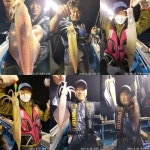 사천 VIP호) 대포한치 몇일째 대박행진~