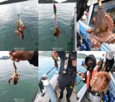 쭈꾸미 황제낚시~굿