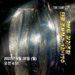 2부 갈치조황