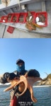 왕쭈꾸미 갑이사냥