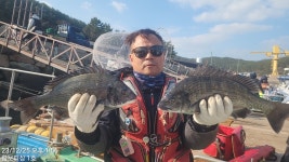 감성돔(대박) 54Cm外 45 45 41 4짜들 폭팔입질~람보