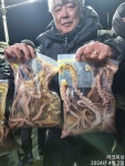 2일새벽 야간낙지 110수 이상 대박~!!장원 16수,문어까지
