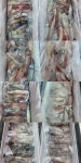 [거제블루]먼바다한치 끝난게아니다 대포급한치 세자리수 터지고