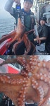 문어 2키로이상급 도 쭉쭉올라오고/갈치시즌 다가오고