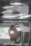 선거 잘 하시고 힐링들 하시러 오시지요 !!!