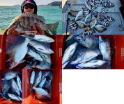 <<오고피씽>>오늘도 대~박!