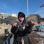 [선덕호] 8일 ❤️감성돔45 농어90 7키로❤️ 흘림조황