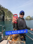 부낚- 