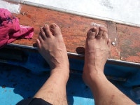 통영 선상 한번 가봤습니다