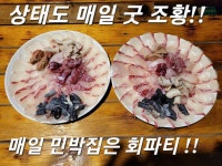 상태도 오늘도 굿 조황!!,가거도 감성돔 소식 전합니다.