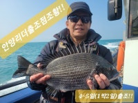 This document does not exist.