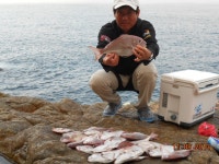 평도 삼부도 조황입니다