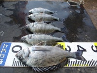 선장님! 짱이요~~!!