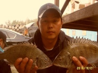 접도 시즌이 돌아왔습니다..^^*