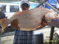 이정도는 잡아줘야.........