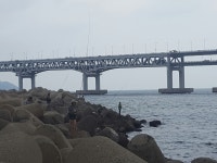 남천삼익방파제 시알좋은 메가리 많이 잡이네요