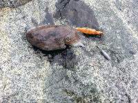 진해 갑이 입니다.