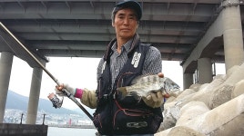 [반도] 감성돔 제법