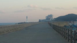 대변 외항 벵어돔
