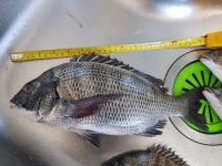 아쉬움에.. 또 찾을 그곳! 가덕