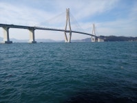 개도에 이어서 소갈미까지