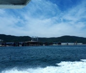 뜬 벵에의 발 빠른 몸놀림