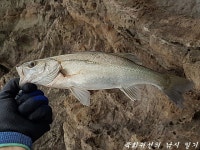 불운과 행운 사이 (상)