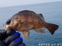 불운과 행운 사이 (상)