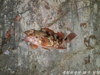 불운과 행운 사이 (상)