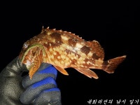 불운과 행운 사이 (상)